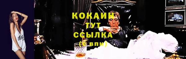 кокс Белокуриха