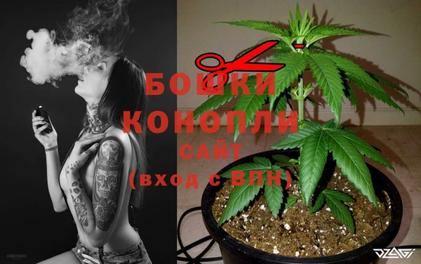 мяу мяу мука Беломорск