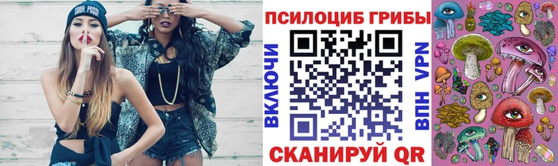 наркота  Городец  Галлюциногенные грибы Psilocybe 