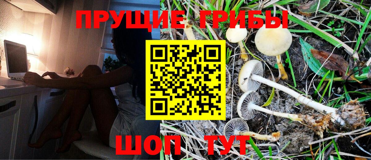 Городец  даркнет сайт  Вход с VPN  Галлюциногенные грибы Magic Shrooms 