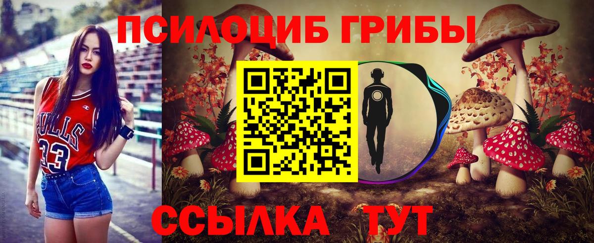 Псилоцибиновые грибы прущие грибы Городец